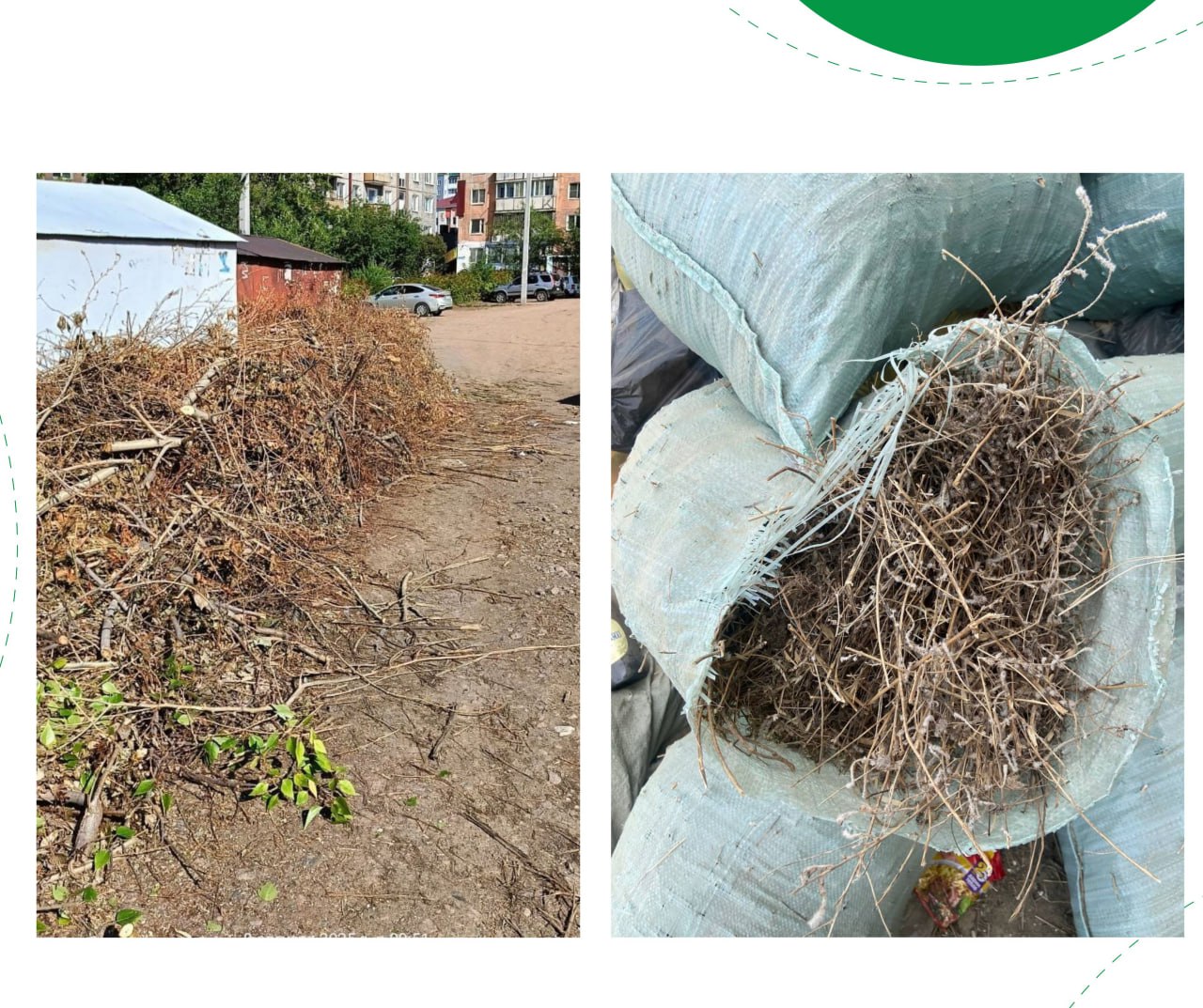 photo_2025-09-01_09-43-31