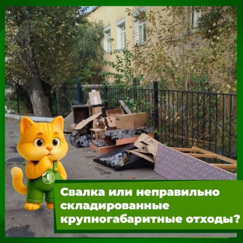 photo_2025-09-25_10-22-08