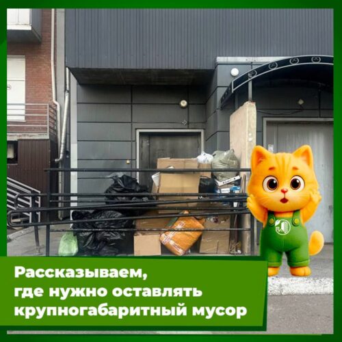 photo_2025-09-25_10-22-11